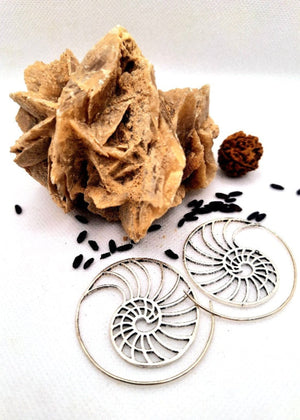 Orecchini Spirale Sezione Aurea - Gipsy Fashion Wear