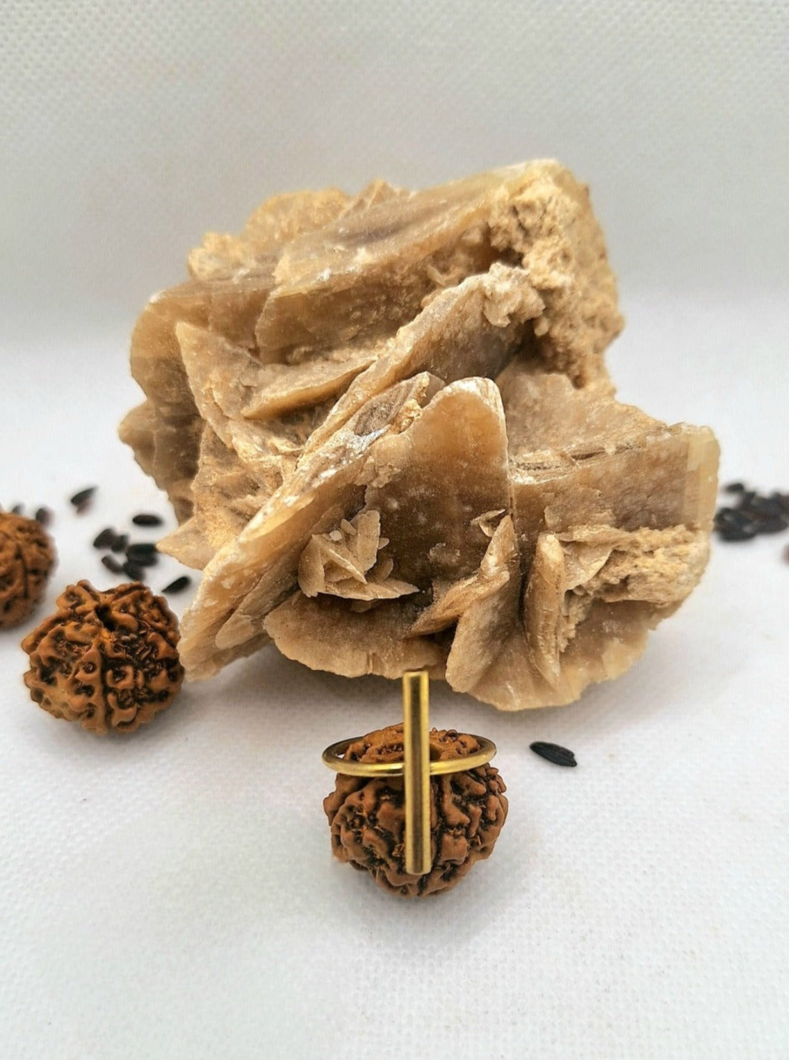 Anello Linea – Forza ed essenza