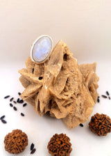 Anillo de vida amorosa