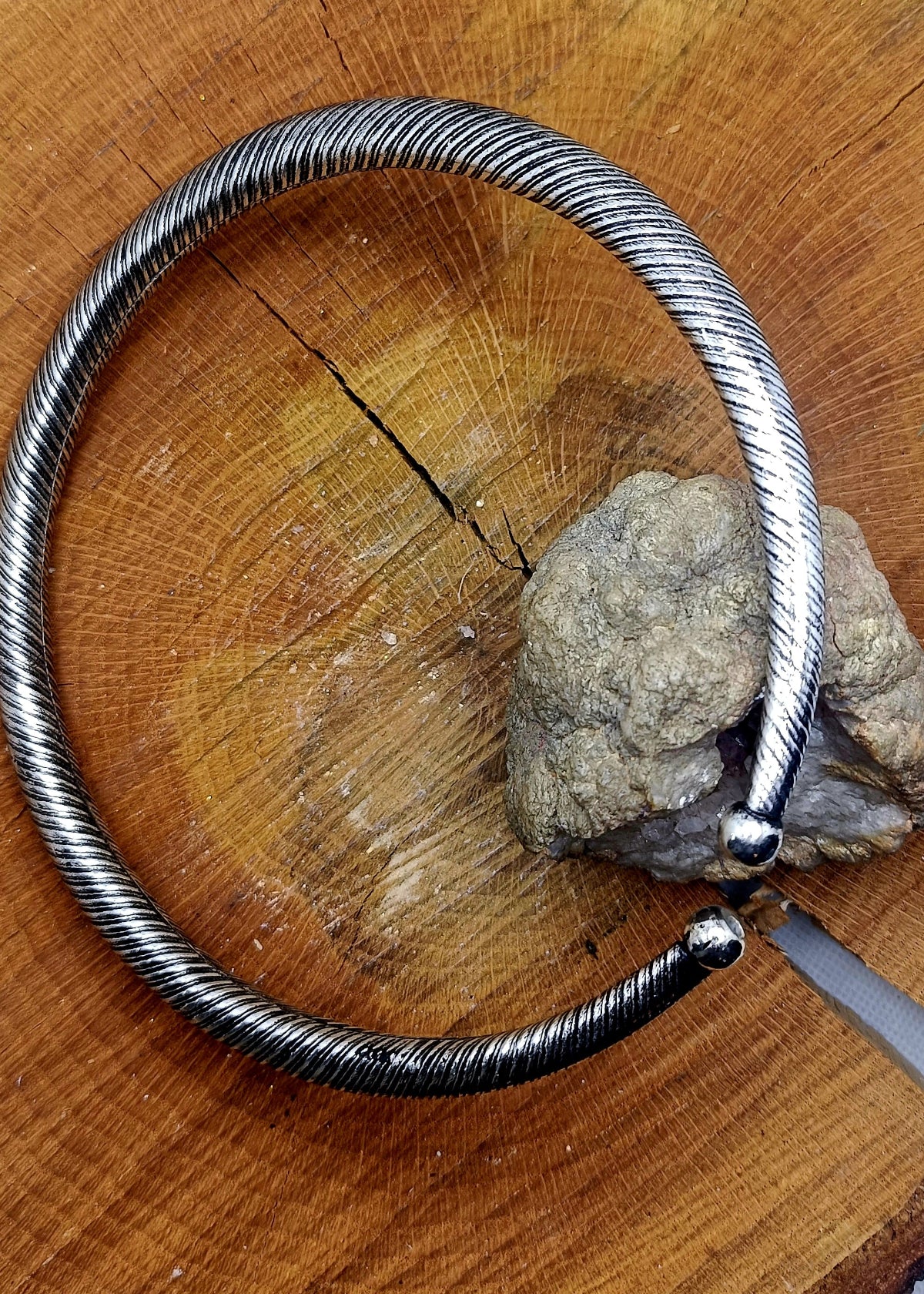 Collare rigido Zigly