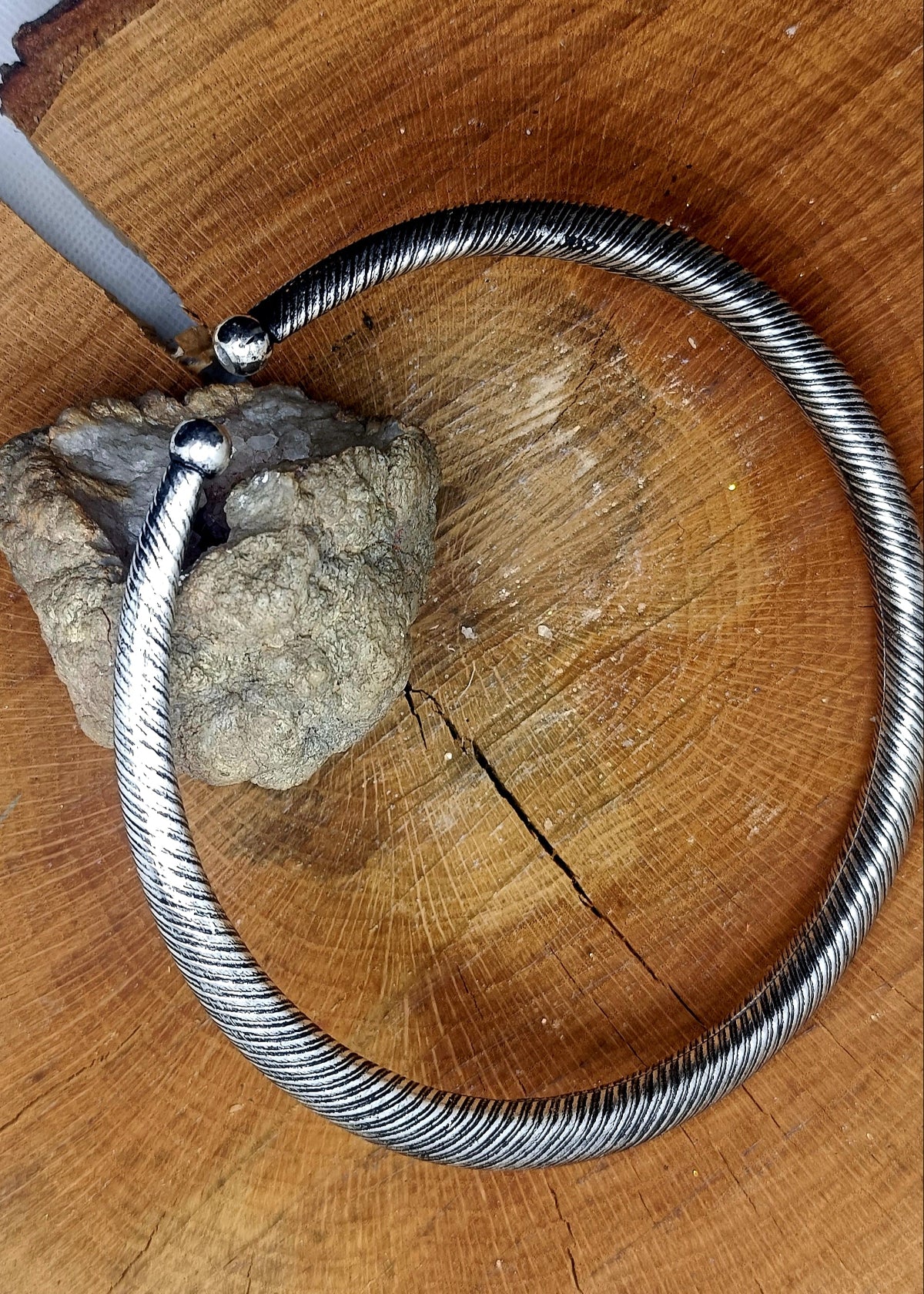 Collare rigido Zigly