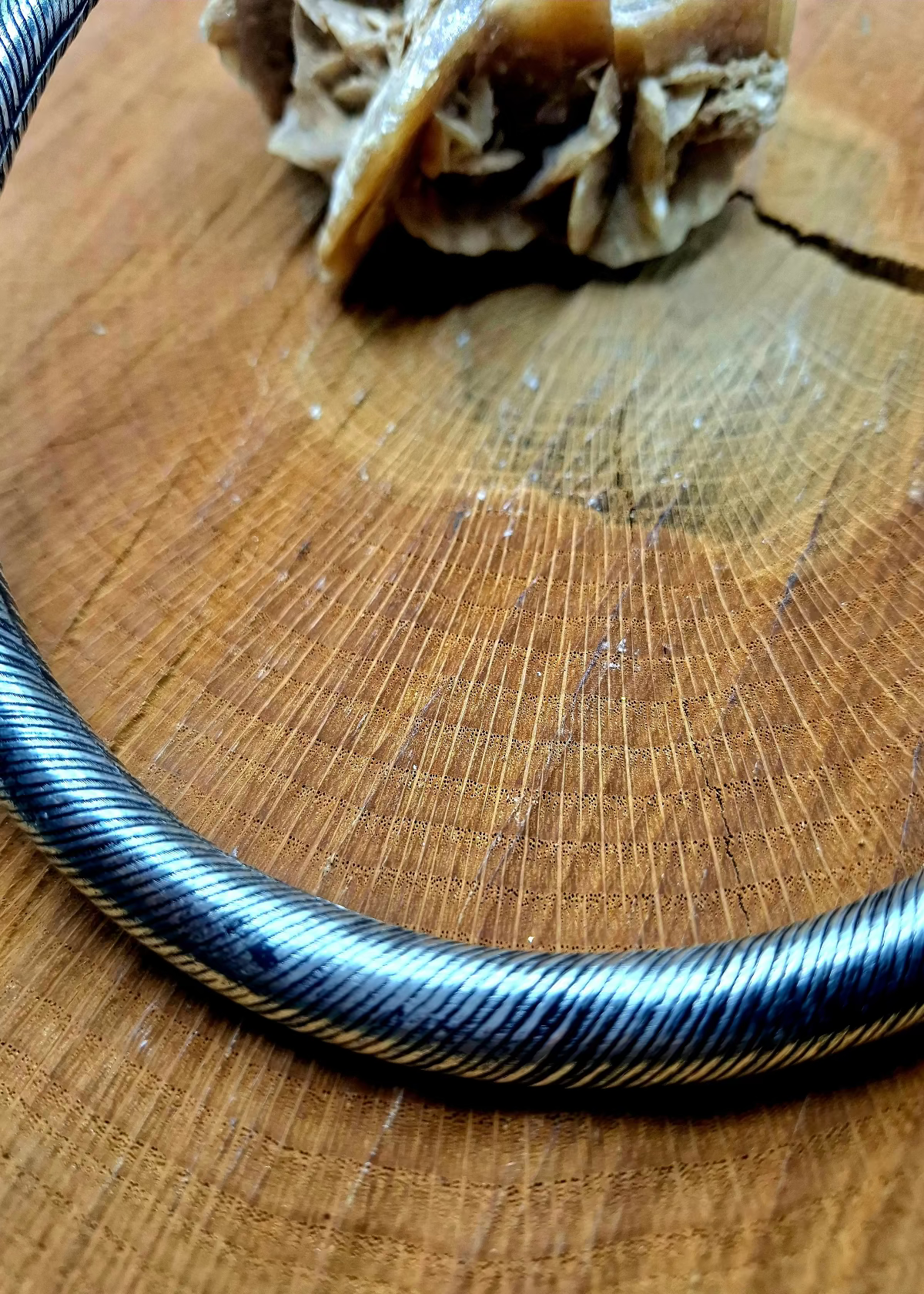 Collare rigido Zigly