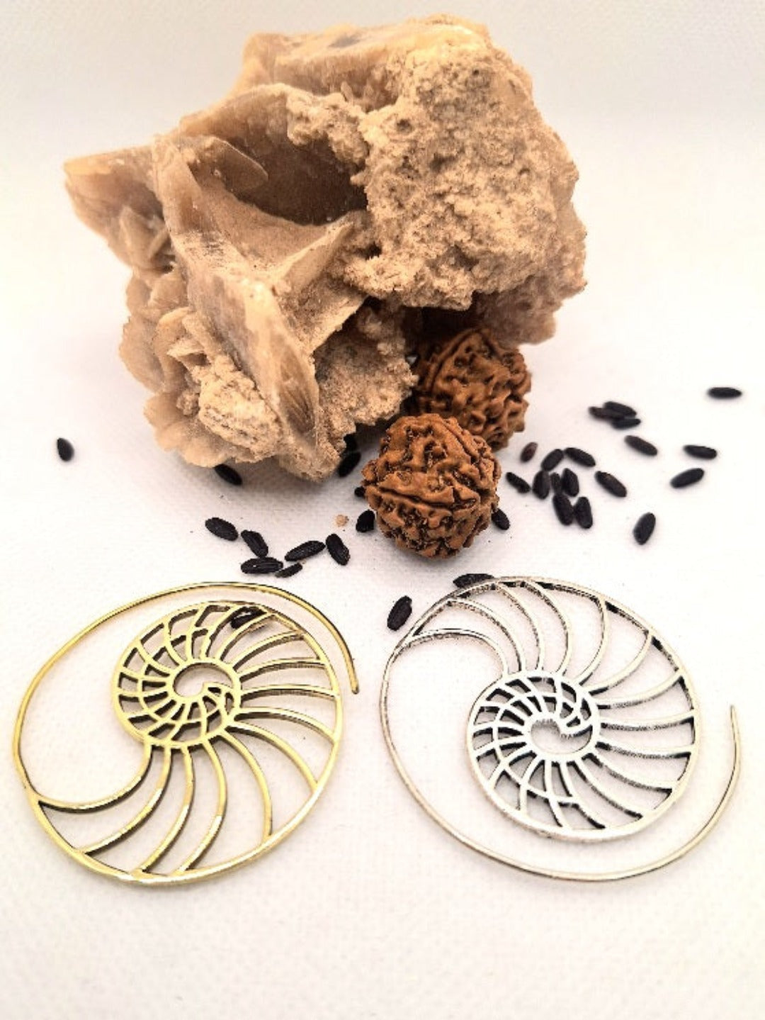 Earrings Spiral Golden Section