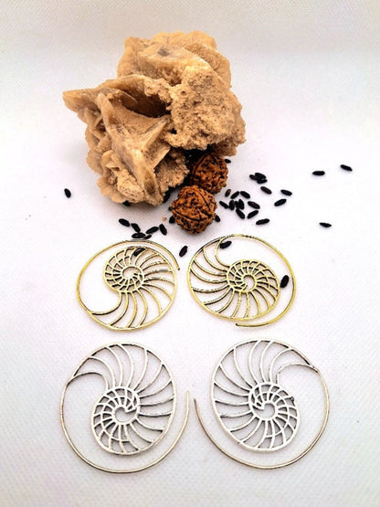 Earrings Spiral Golden Section