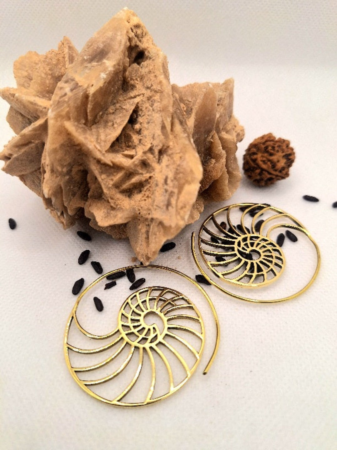 Earrings Spiral Golden Section